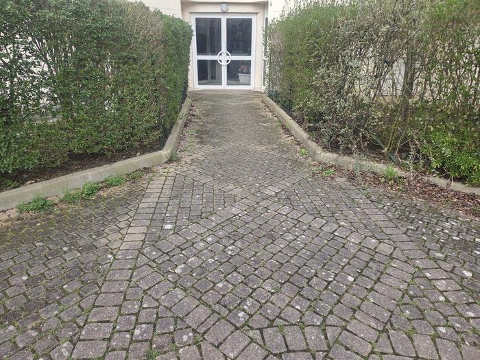 Haies taillées à l'entrée d'une copropriété