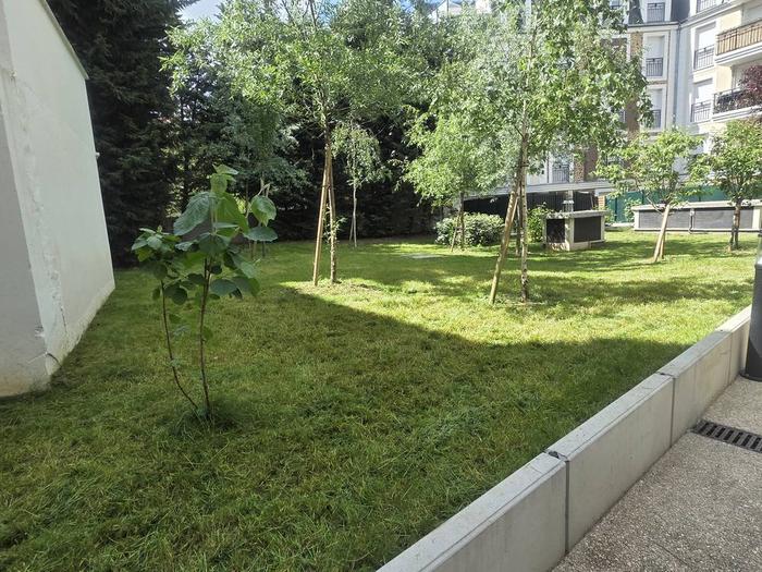 Pelouse entretenue avec arbres